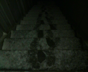 09雪、ｉｎ自宅階段前